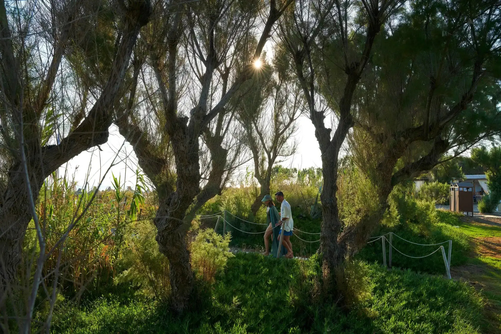 Agapi Beach Resort - Premium All Inclusive