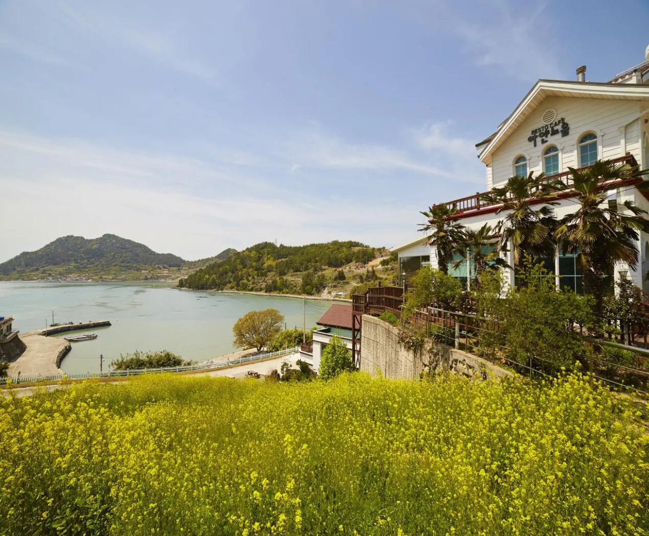 goheung hayannoeulpensyeon