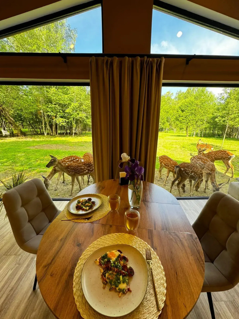 Домики Бэмби Ленд