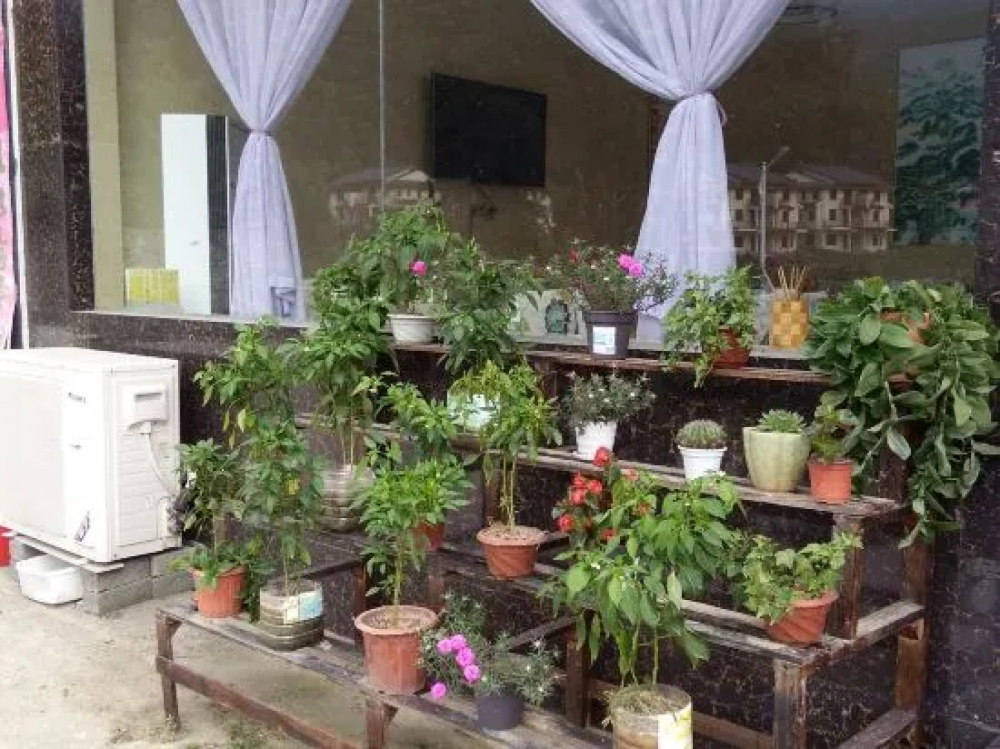 Huangshan Luojiaodian Inn