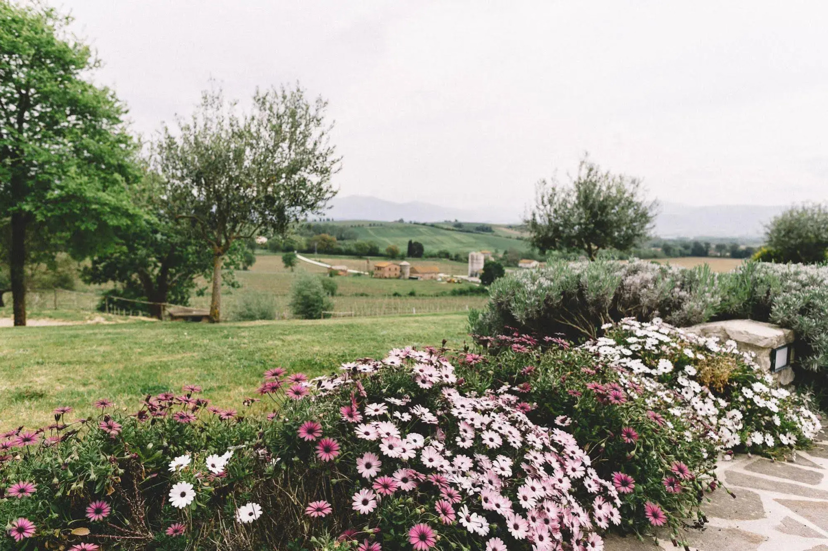 Tenuta Marchesi Fezia