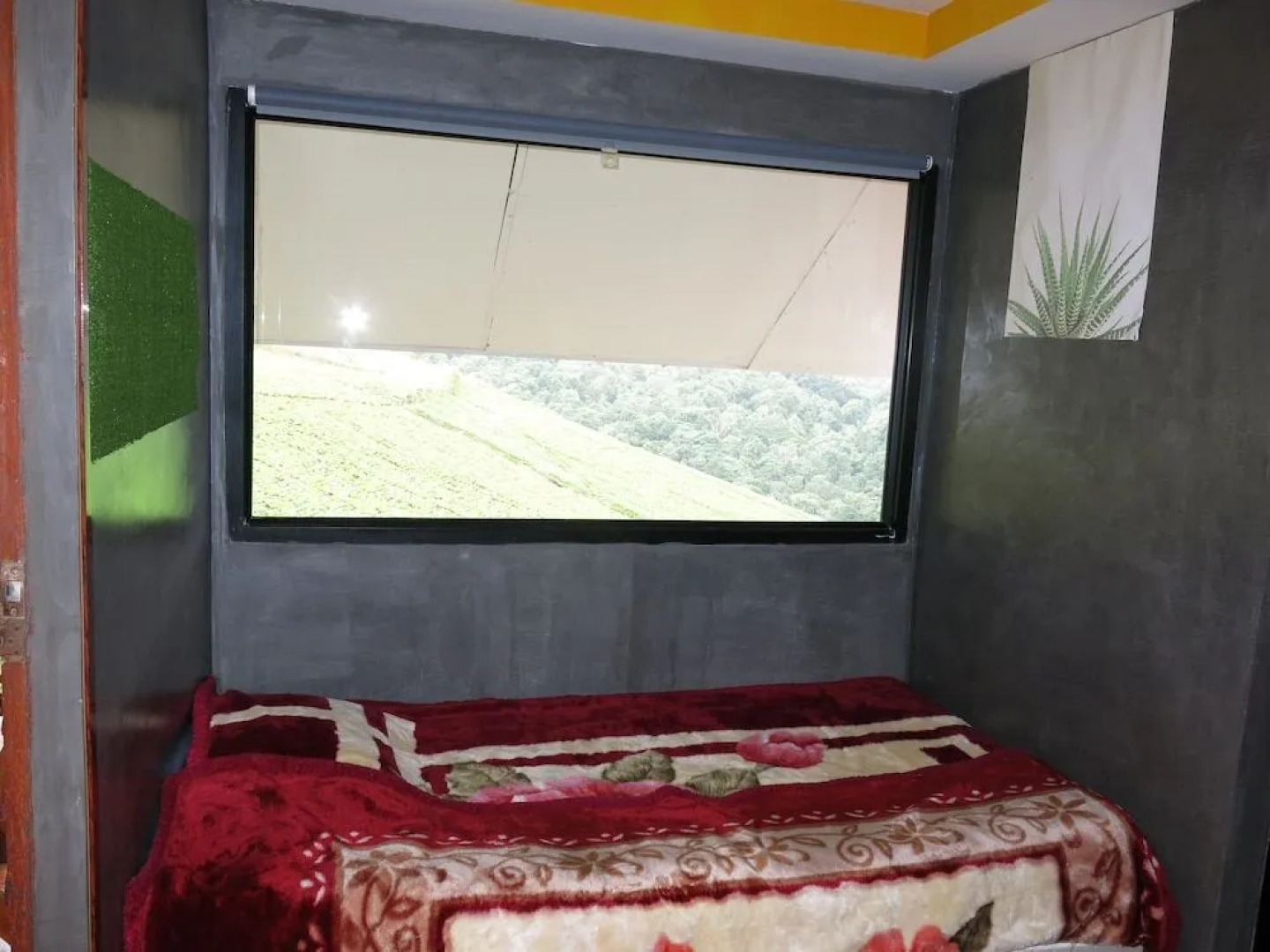 Baanchomdow Phutubberk