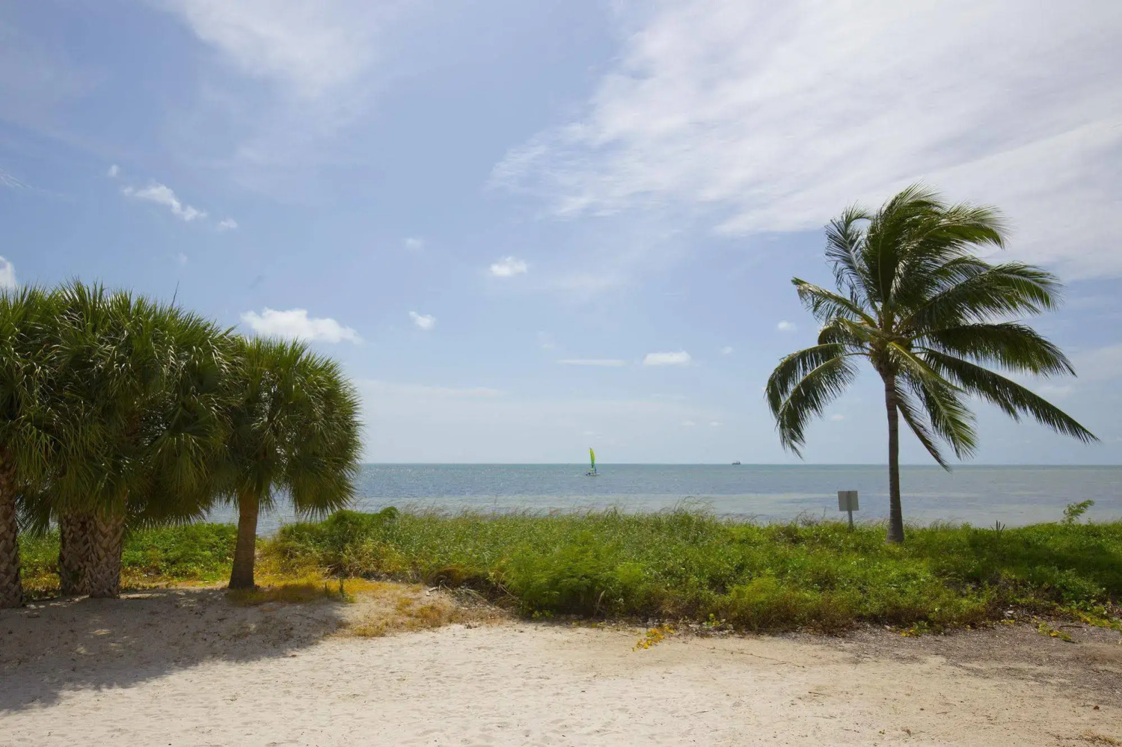 1800 Atlantic Suites