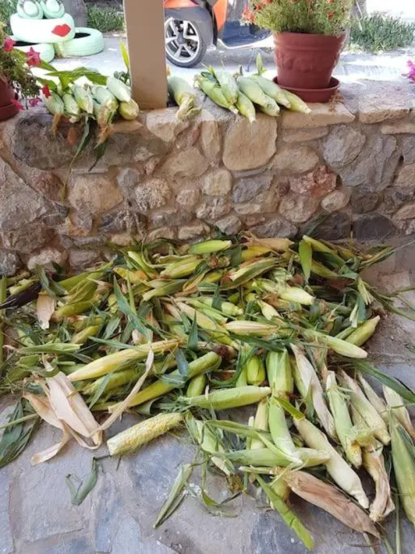 Apartement Kos CountryHouses