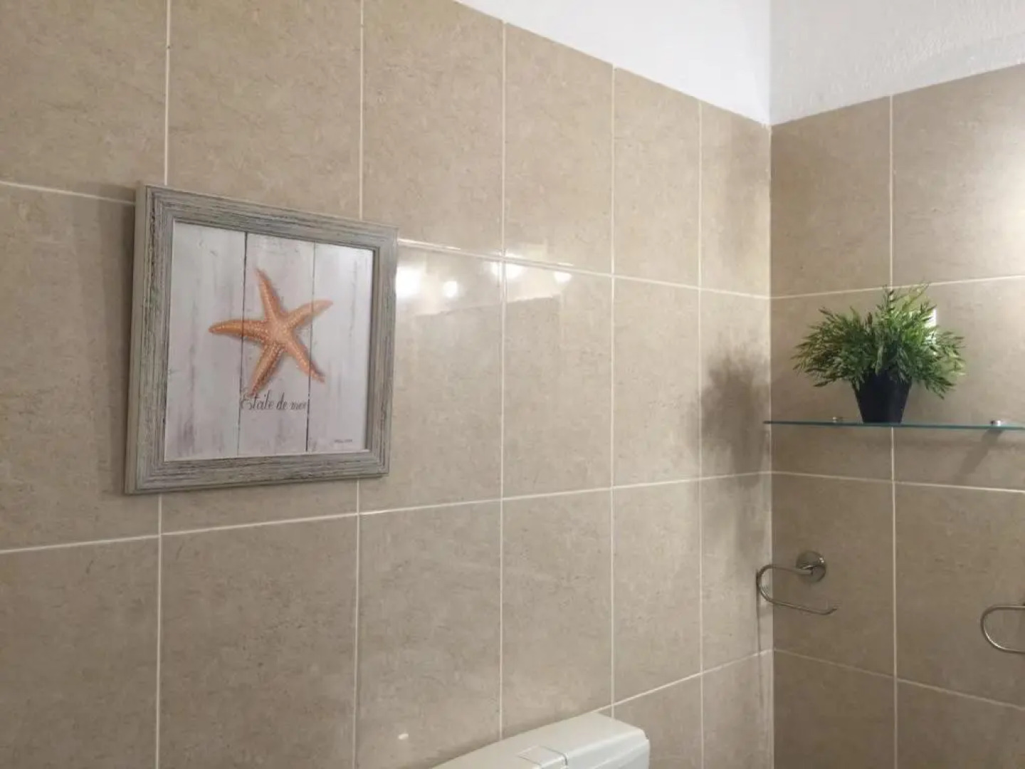 Peixe and Barco Studios