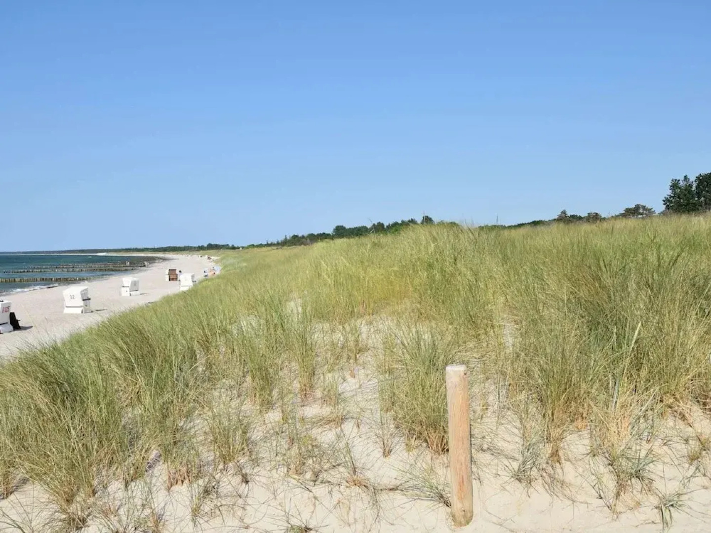 Ferienwohnung Parkblick mit 3 Schlafzimmern