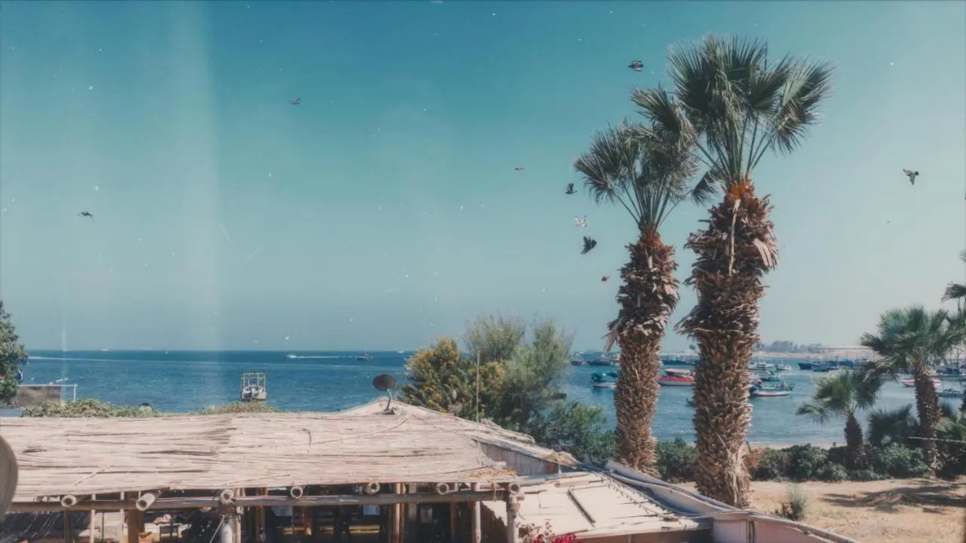 Viajero Paracas Hostel