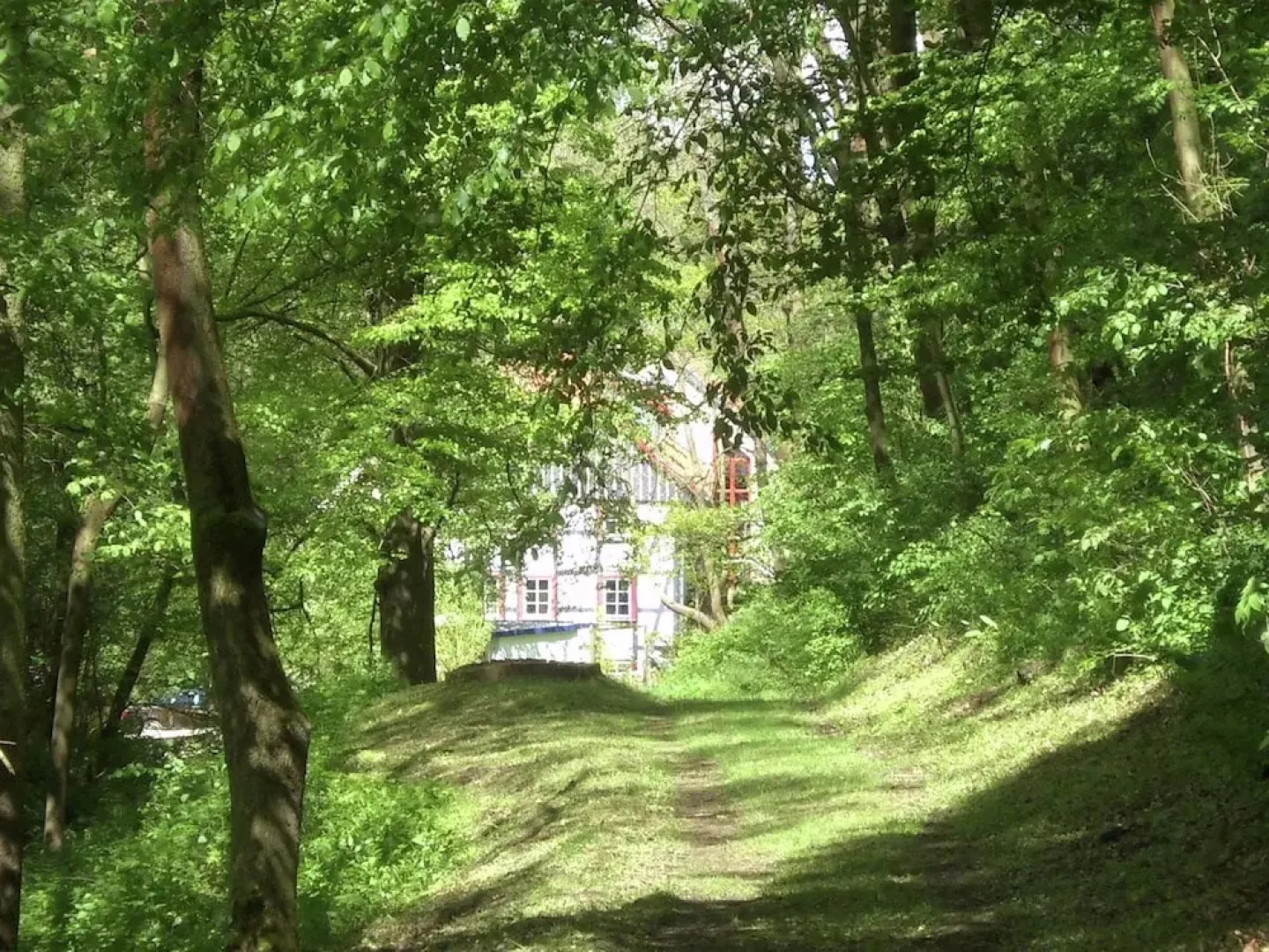 Chic Apartment in Thuringia With Sauna