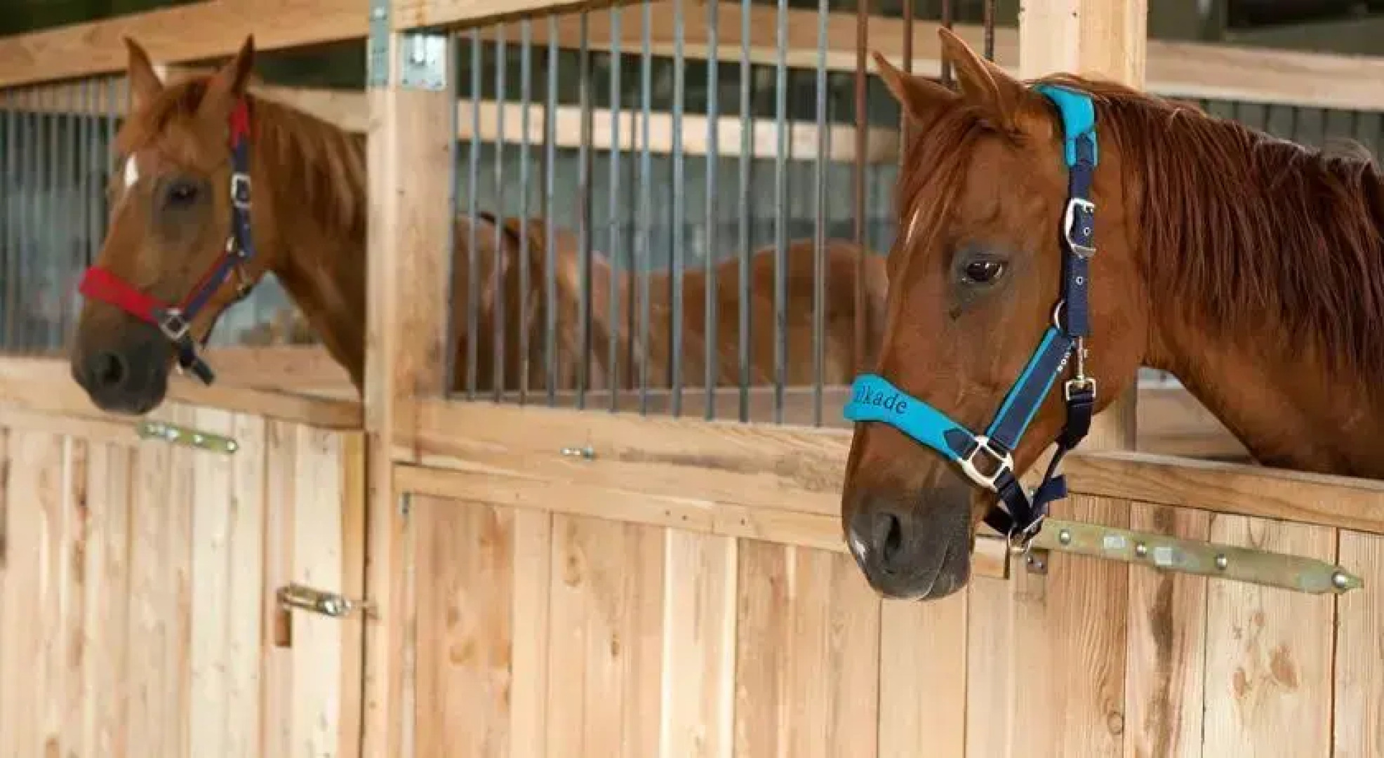 Osada Jeździecka Bata