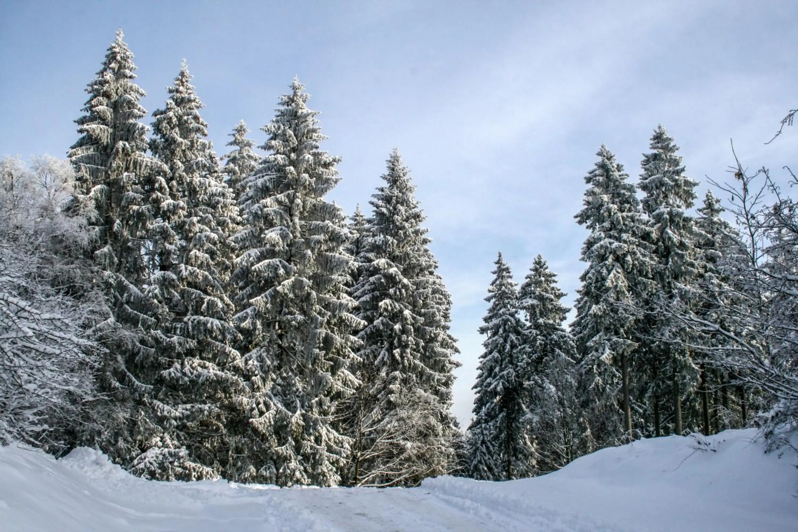 Selke´s exklusives Ferienhaus