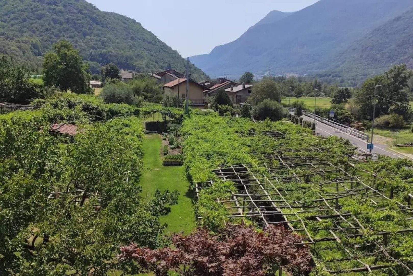 La Casa Dei Nonni 3,0