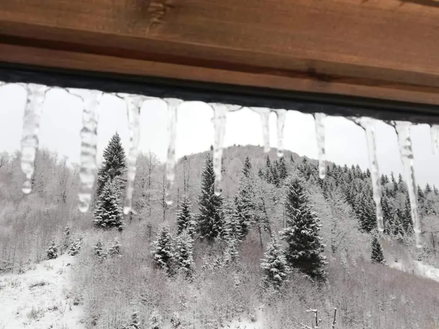 Didveli Residence, Apartment 49