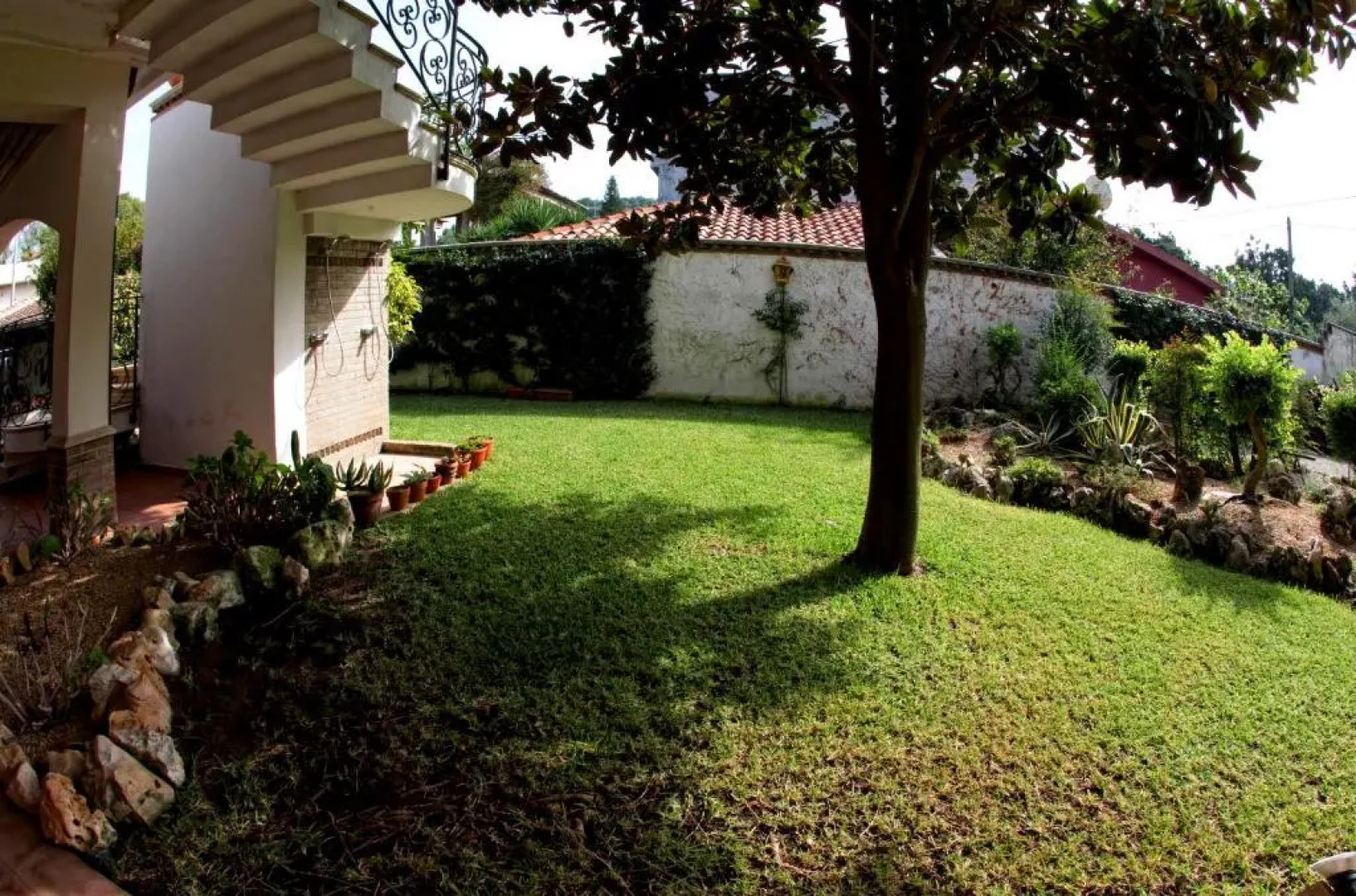 Il Veliero e I Girasoli