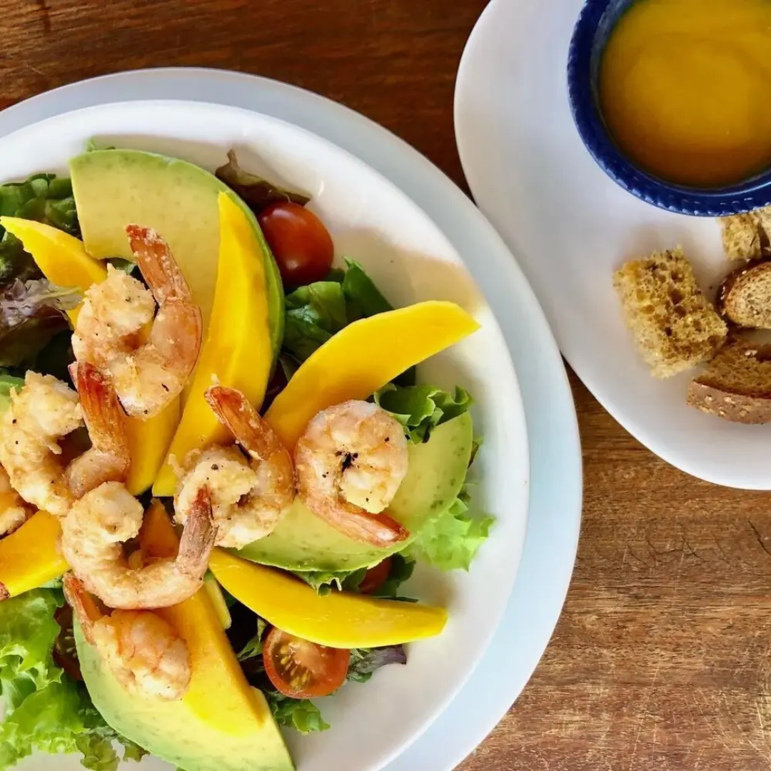 Paradise Suit Sal Premium