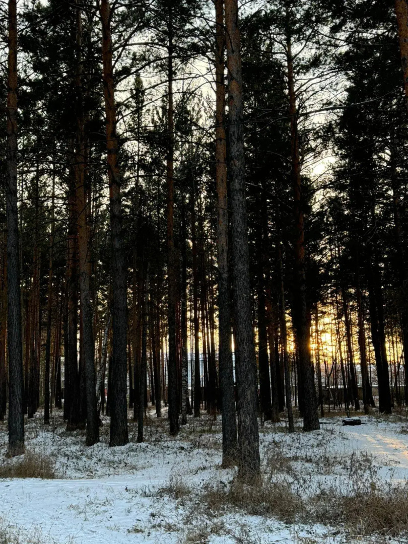 Вариант на улице Аэропорт 1