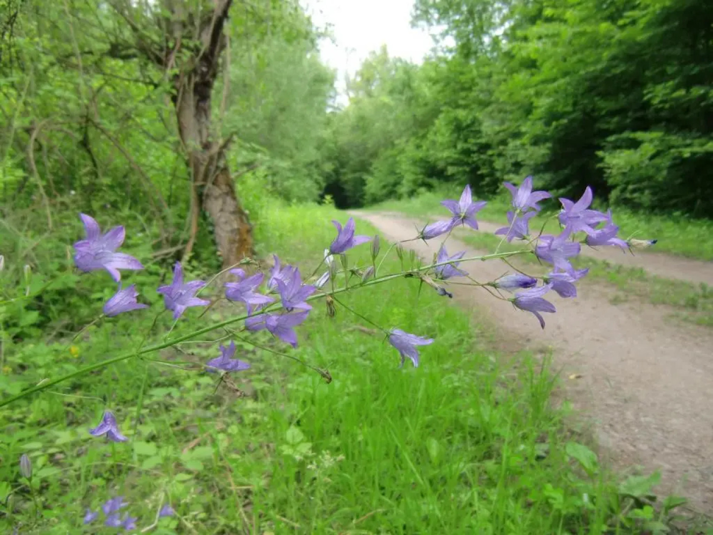 Pension Camping Schausten