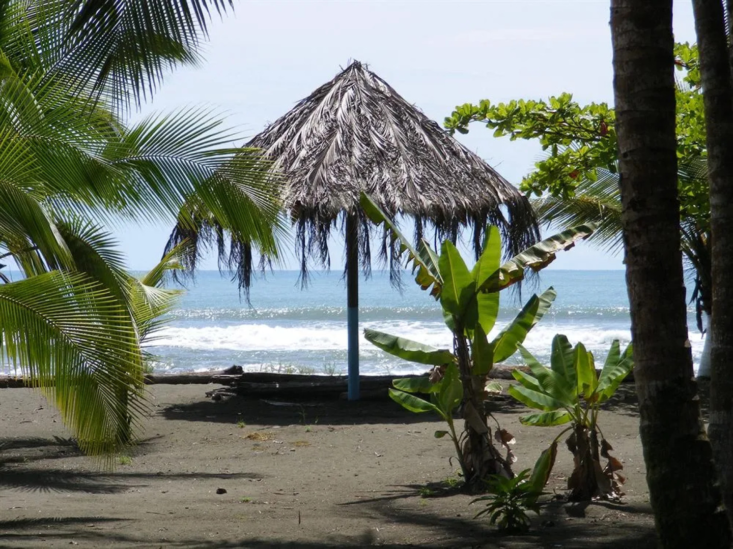 Hotel Playa Westfalia