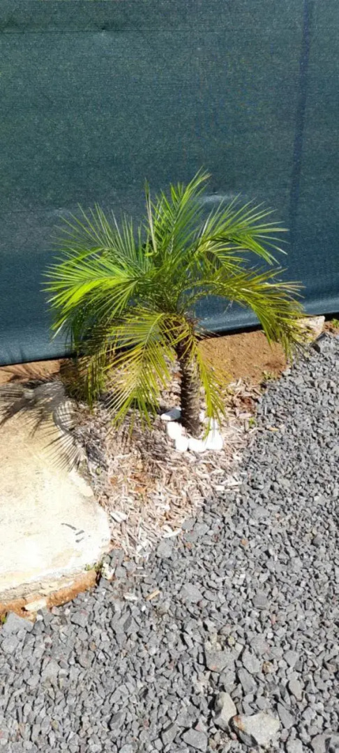 Mini villa entre montagne et mer