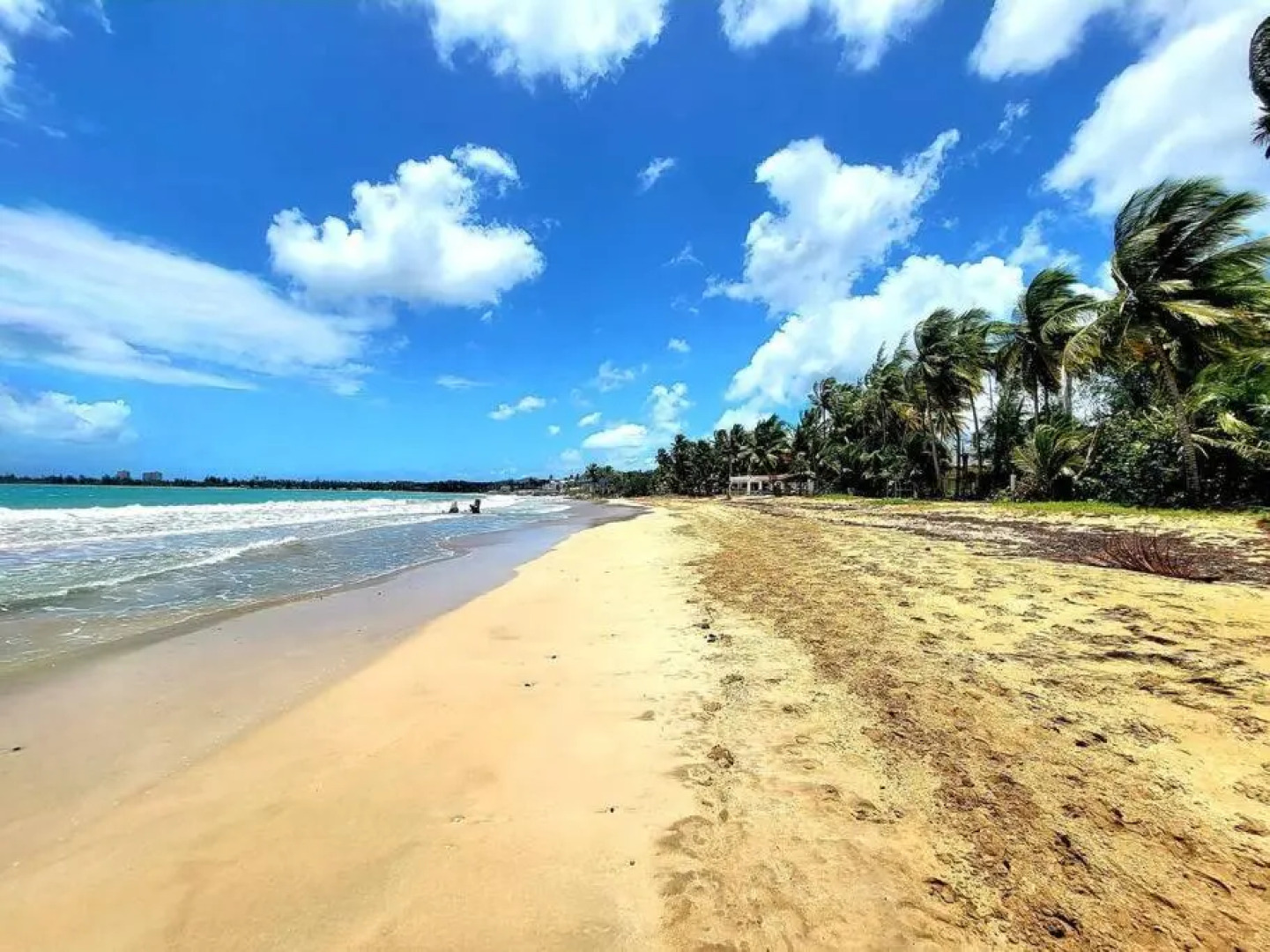 Peaceful ocean front home near Rainforest & rivers 102