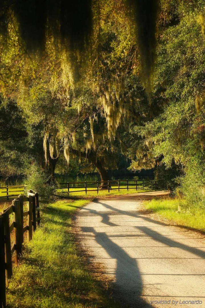 The Inn At Middleton Place