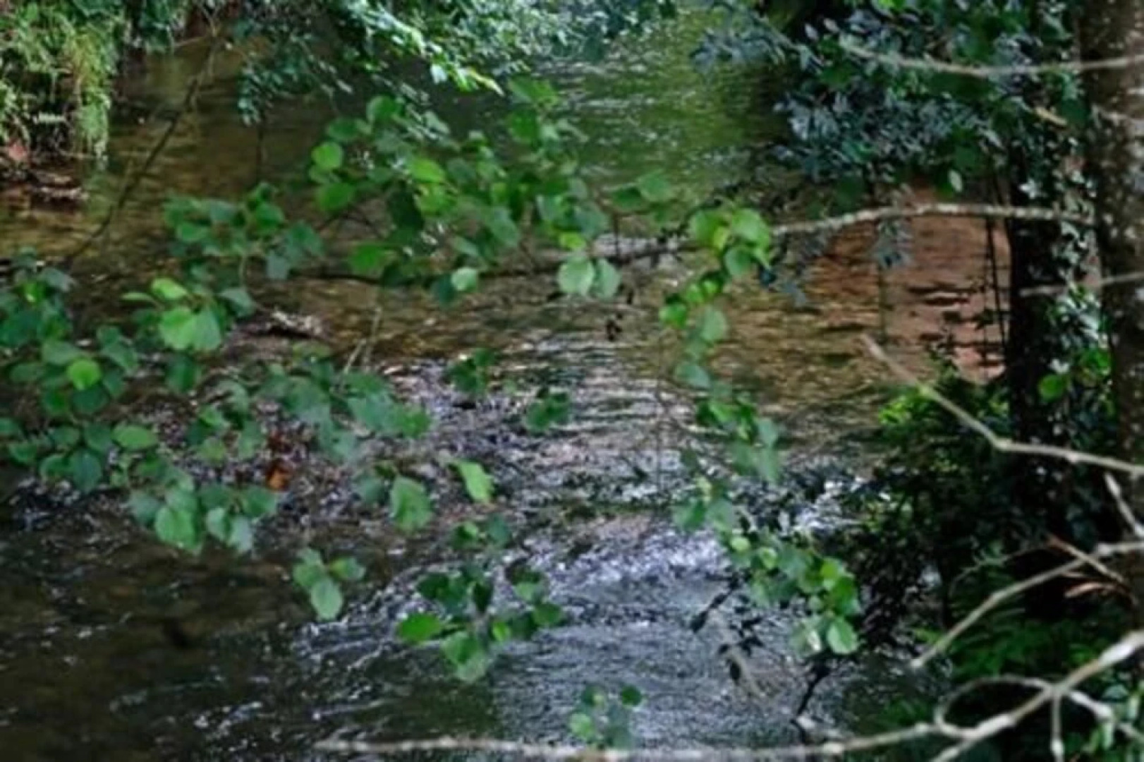 Camping du Plan Incliné