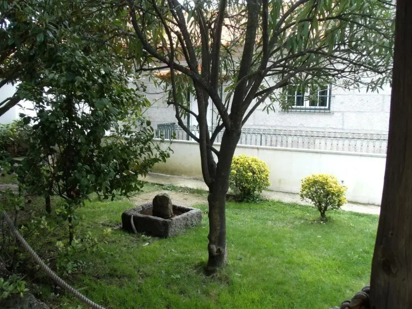 Quinta da Casa Grande Pinheiro