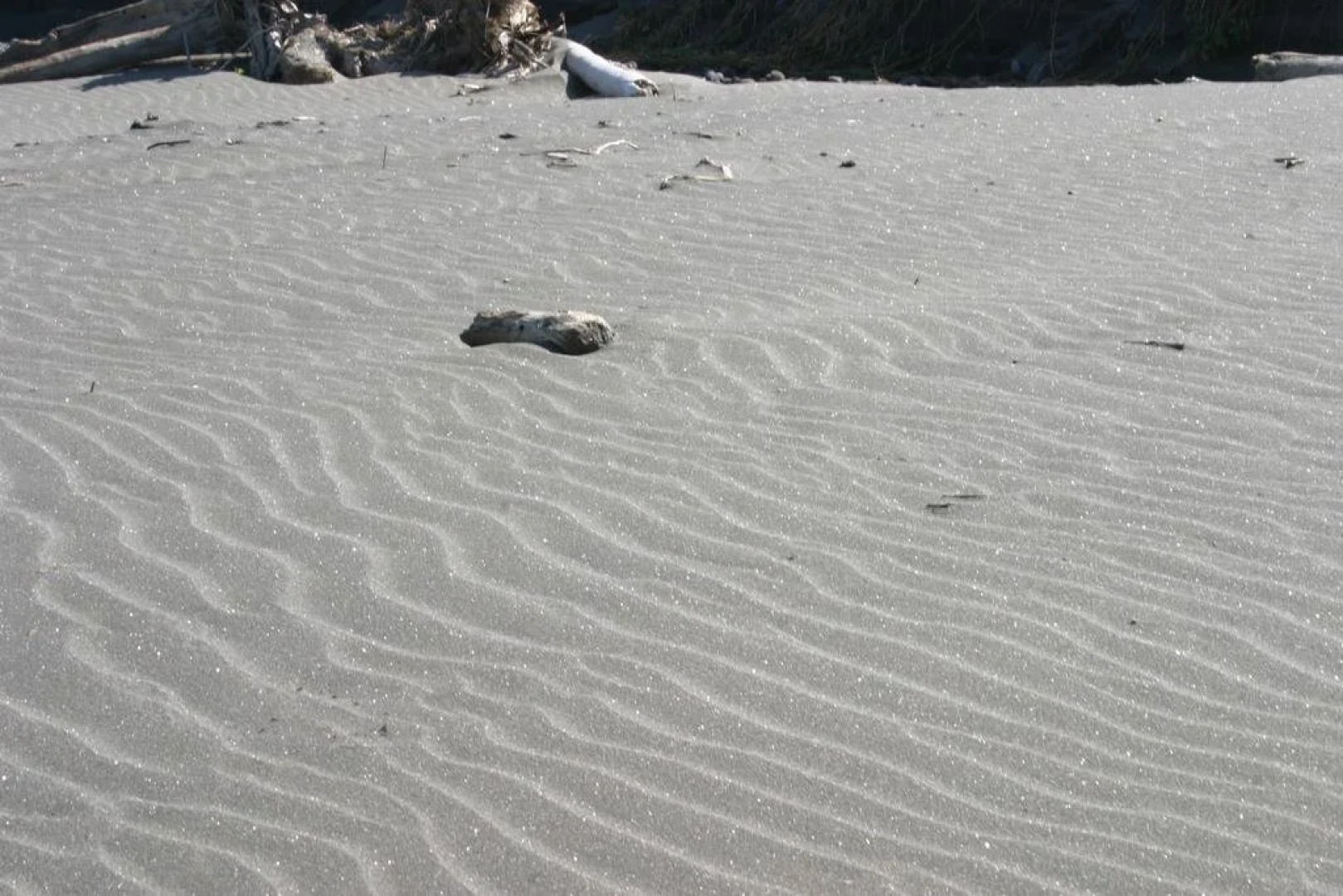 David Samstrong Lite