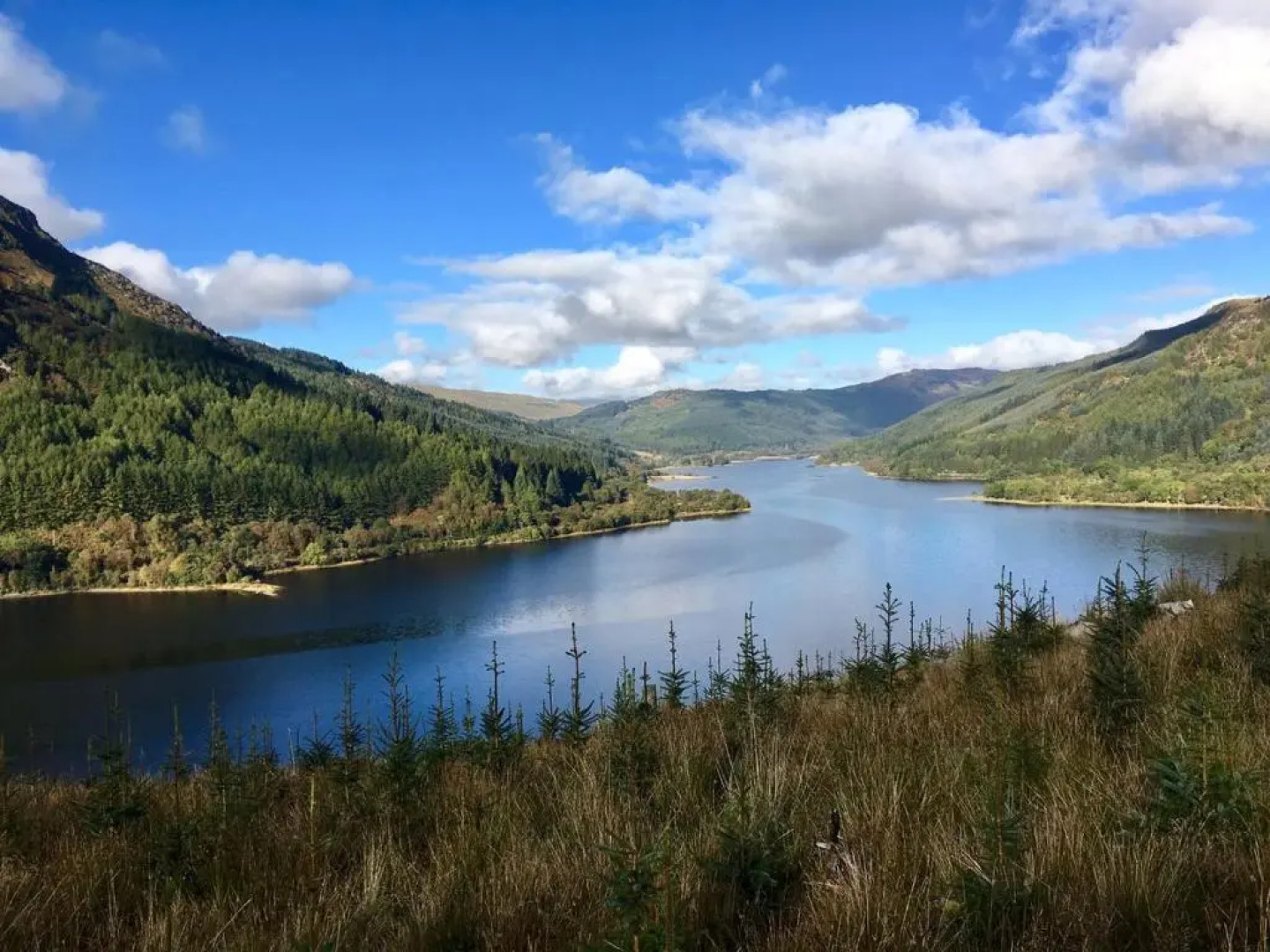 Rosebank House Bed & Breakfast