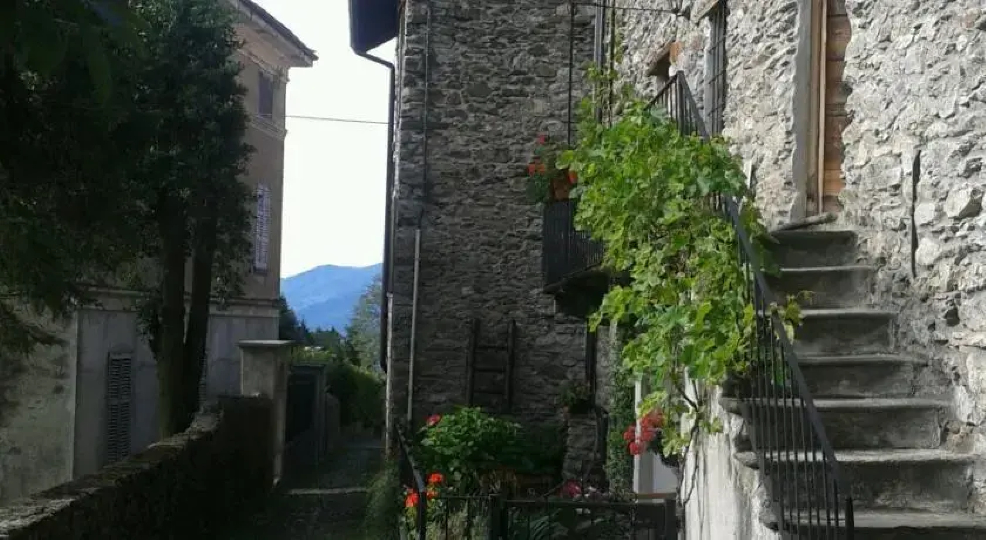 The Stone House