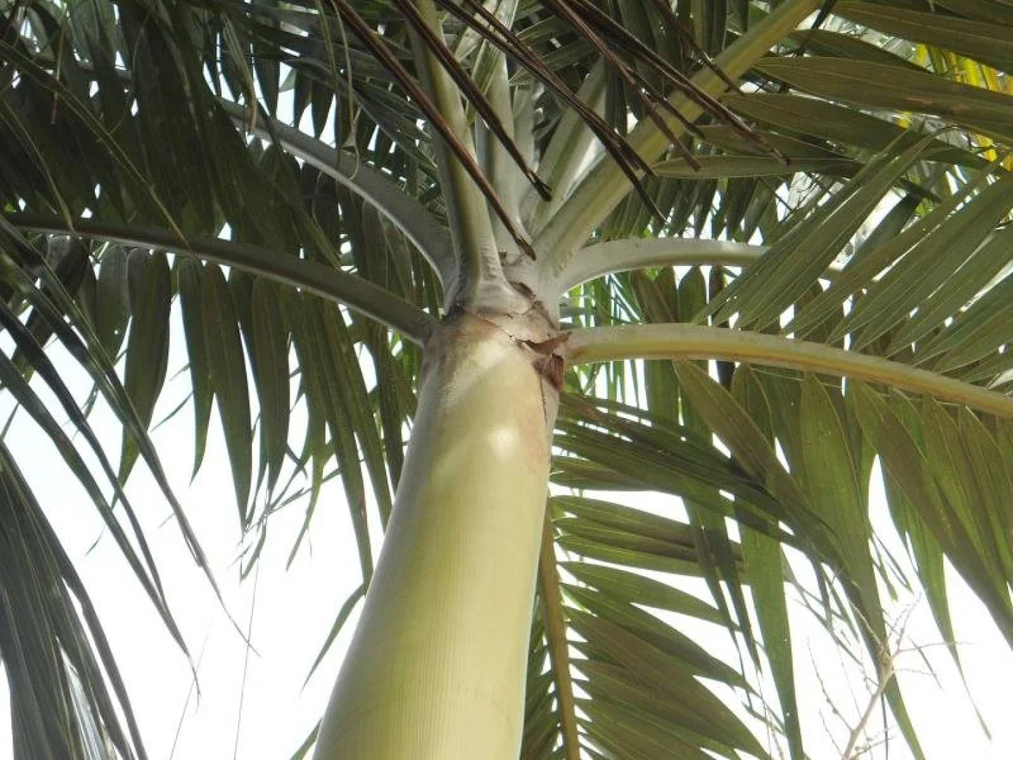 Tharindu Guest House