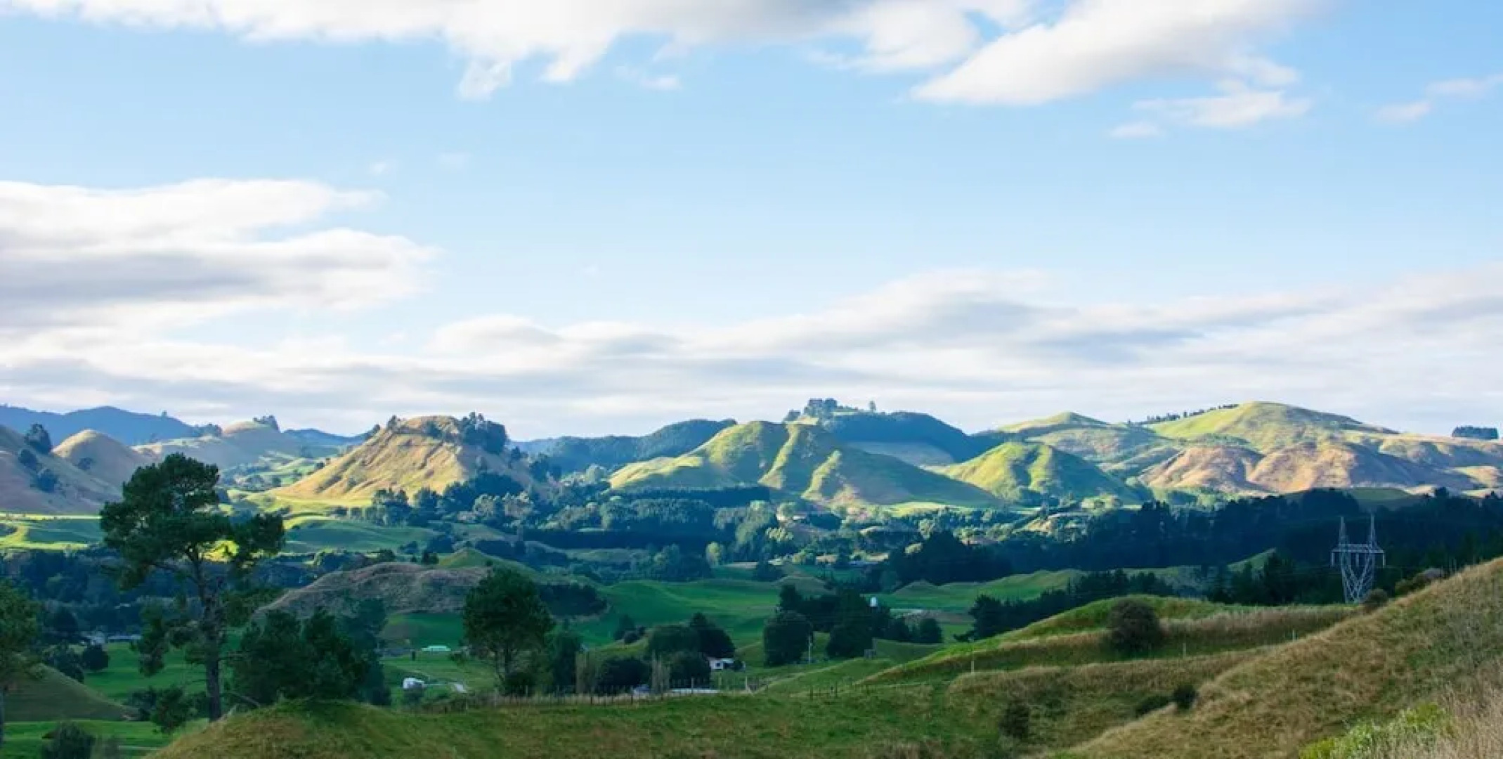 Rotorua Hillside Haven