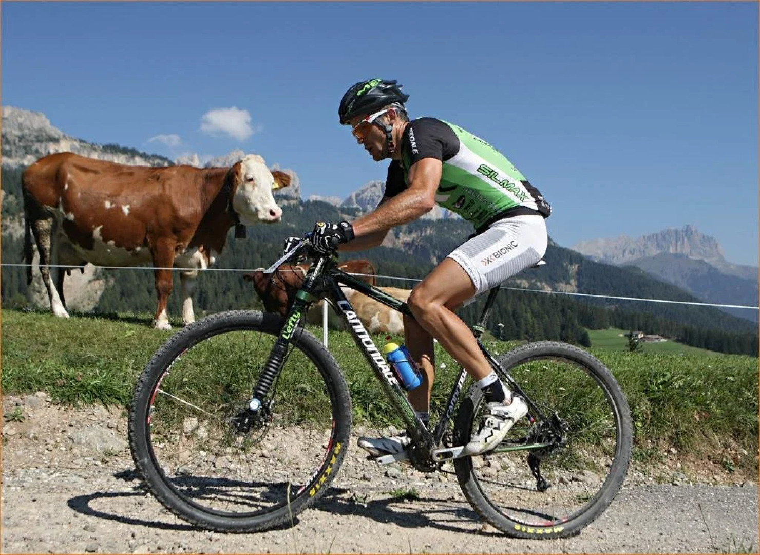 Pensione Ristorante Selva