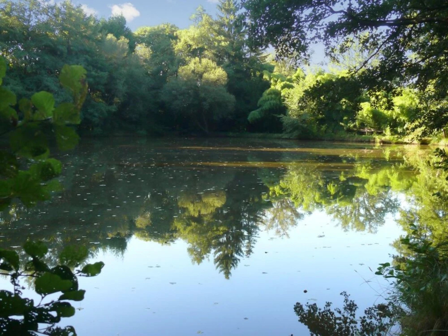 House With 2 Bedrooms in Lourdoueix Saint-pierre, With Wonderful Lake