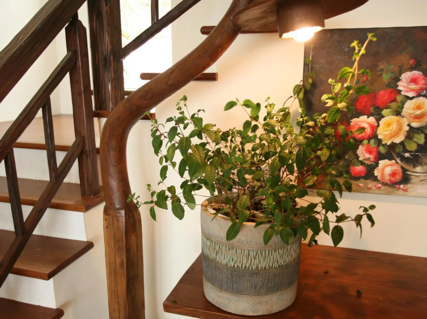 Giethoorn Guest House