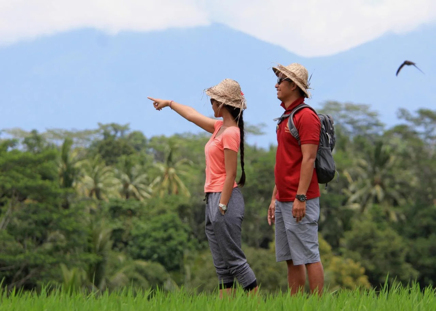 The Udaya Resorts and Spa