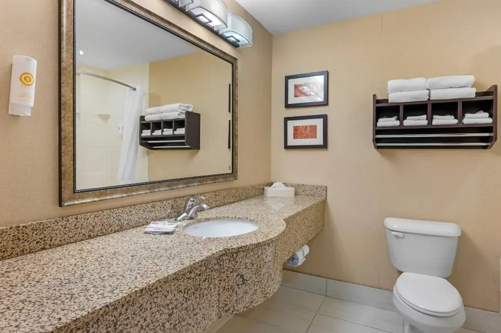 Comfort Suites South Bend