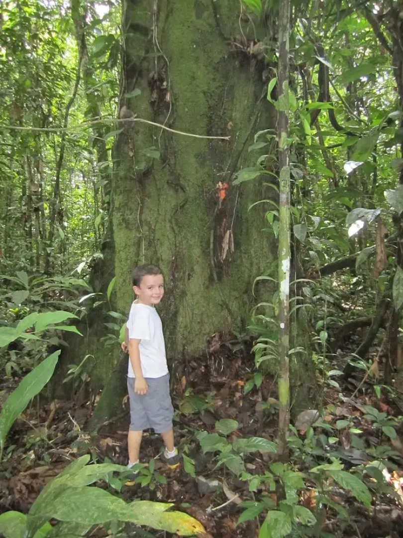 Friends of The Amazon Jungle Lodge