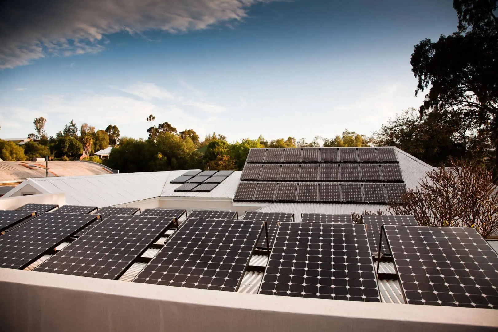 The Queen of Calitzdorp