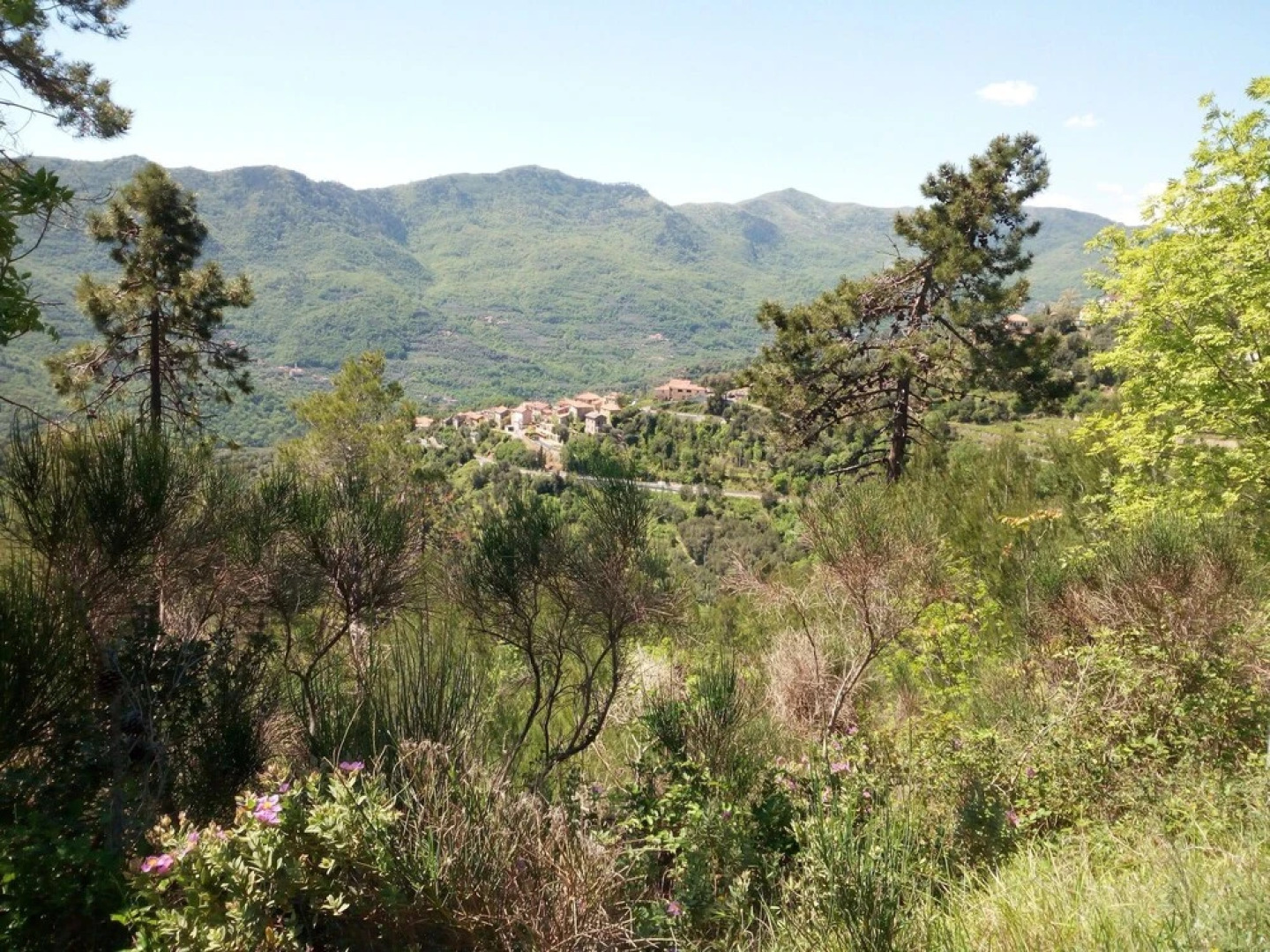 Cosy Holiday Home in Stellanello With Garden