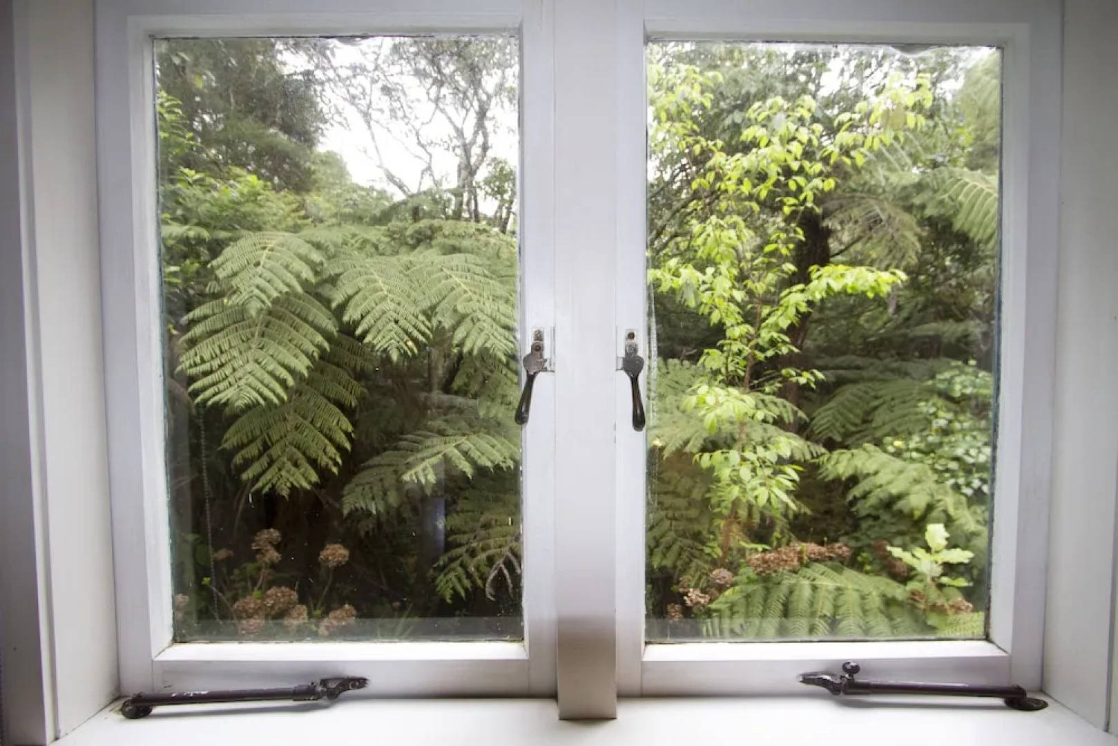 Fern Lodge Coromandel