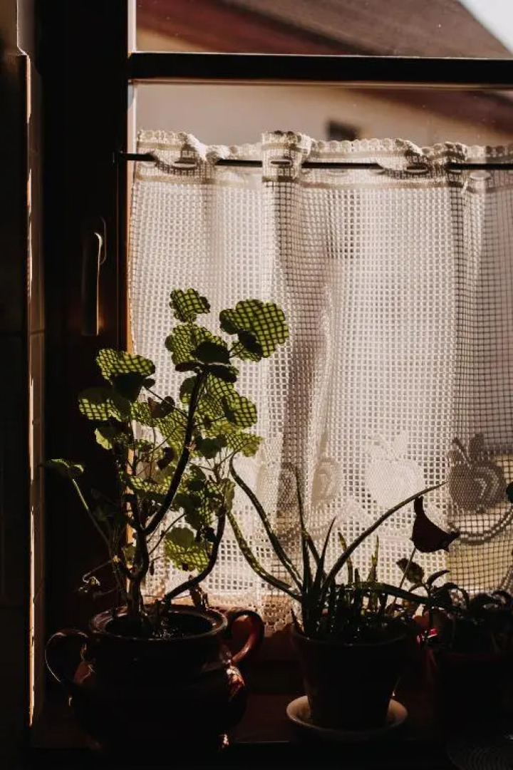 Pensiune Agroturistica Hanna