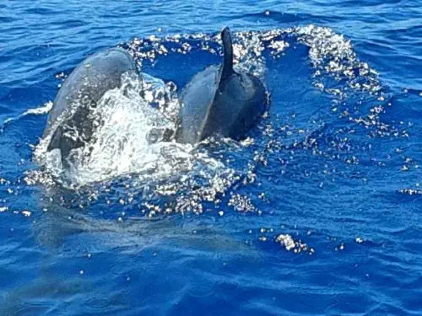 Residencial Tazacorte Luxe