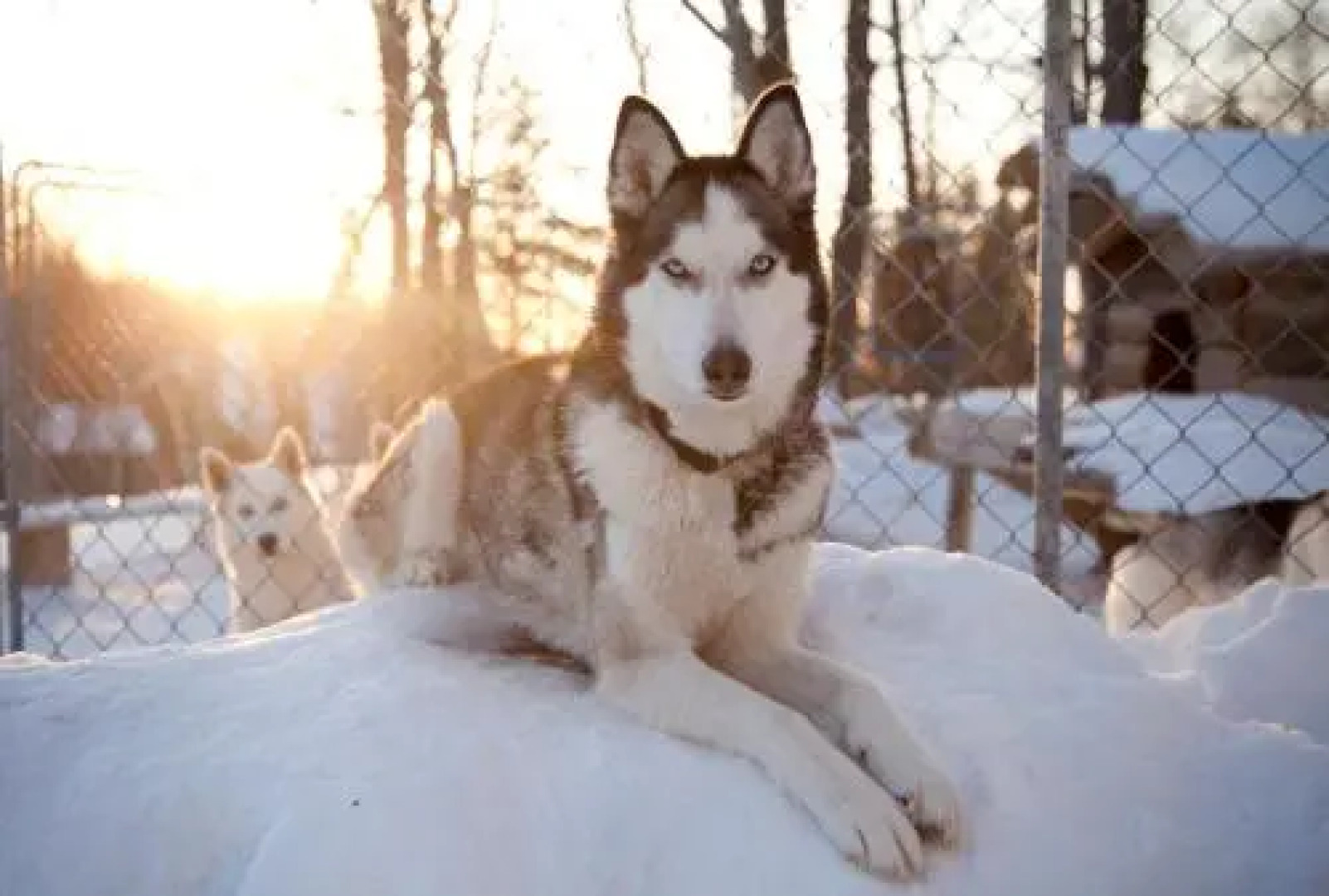 Chalets Lac Beauport