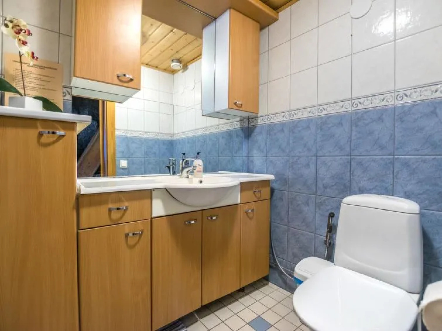 Juurakkopirtti Villa