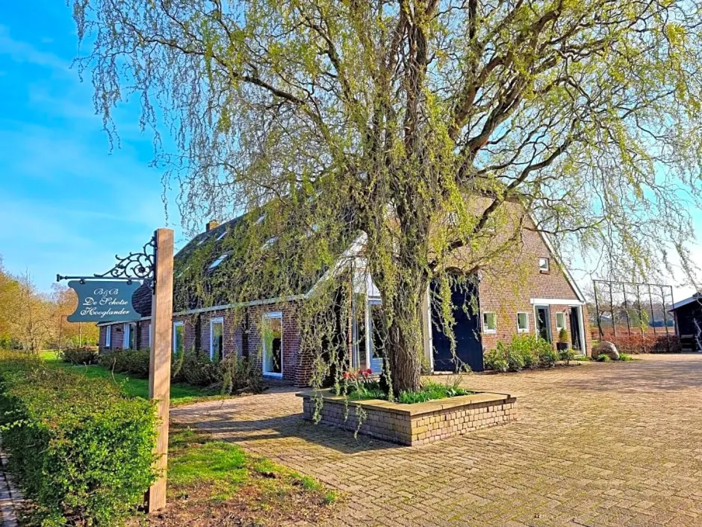 De Schotse Hooglander