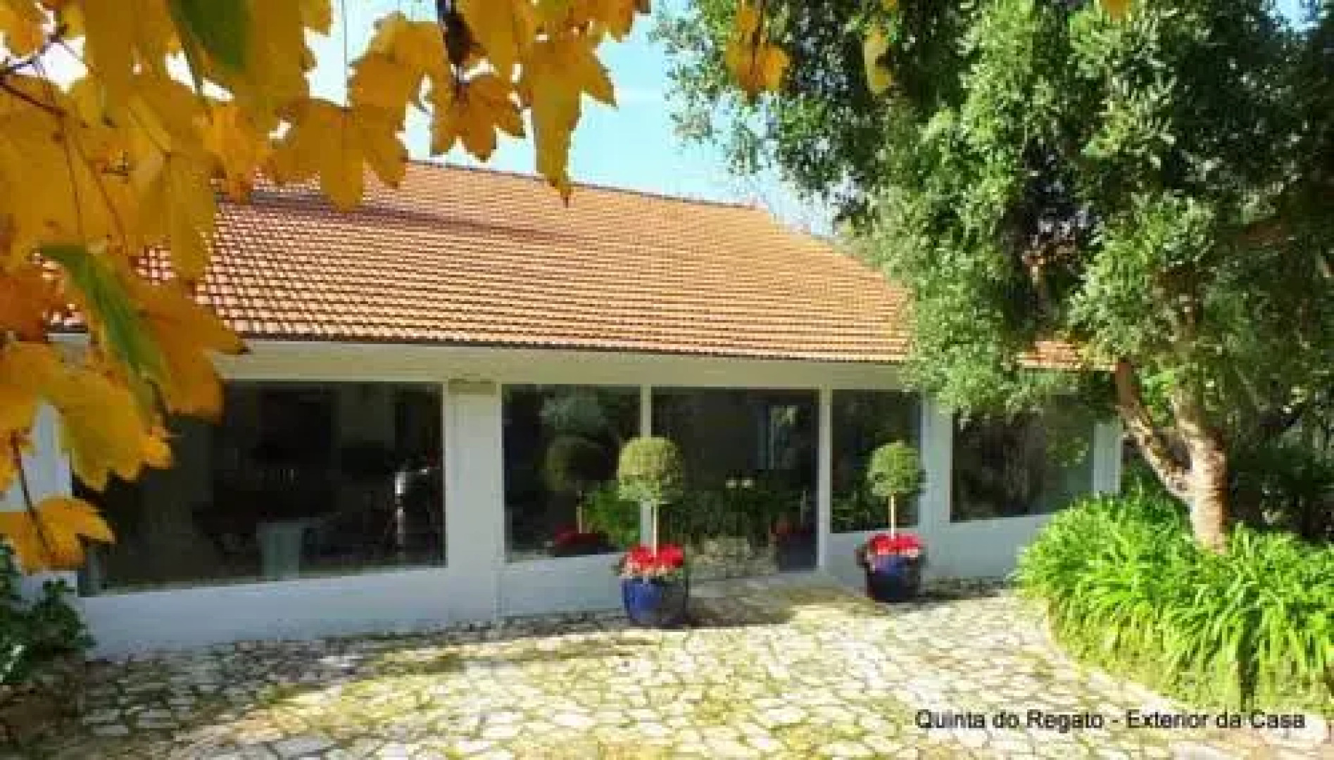 Quinta do Regato