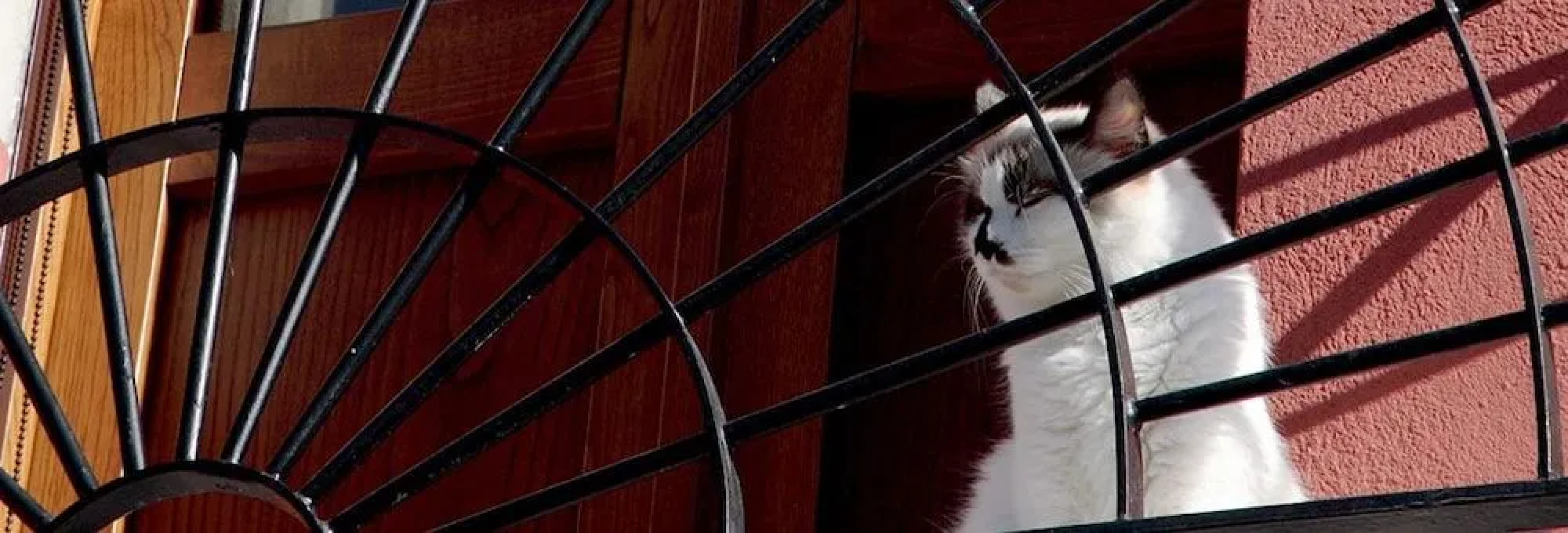 Antica Casa Pasolini