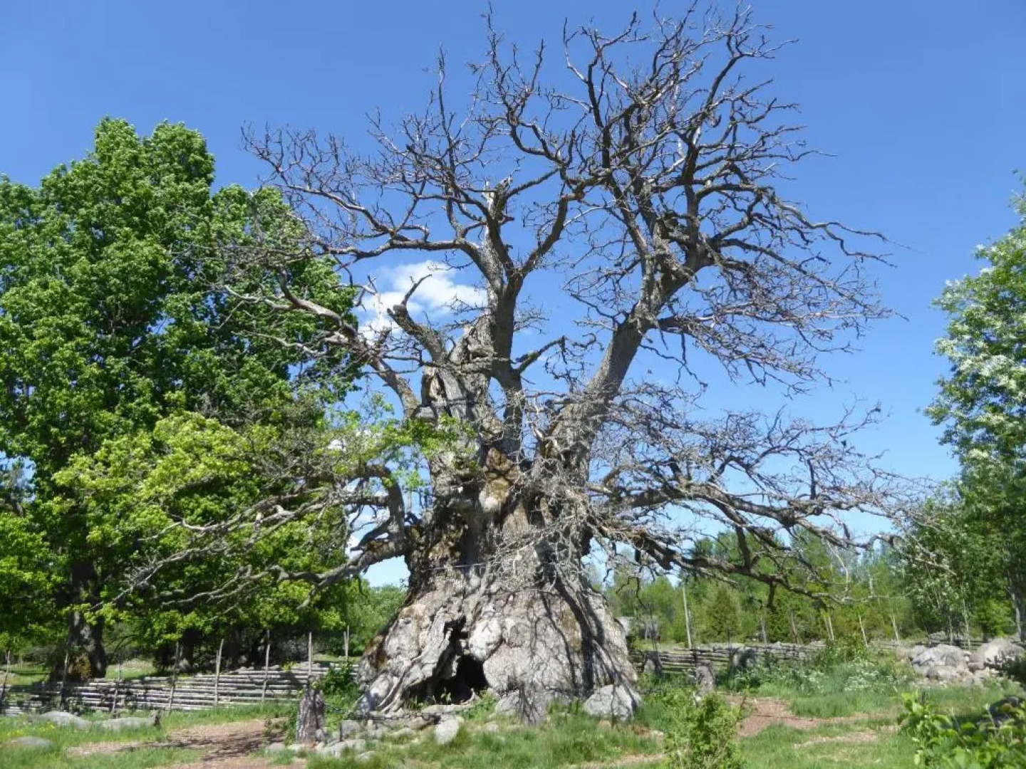 Ydrefors Bed & Breakfast