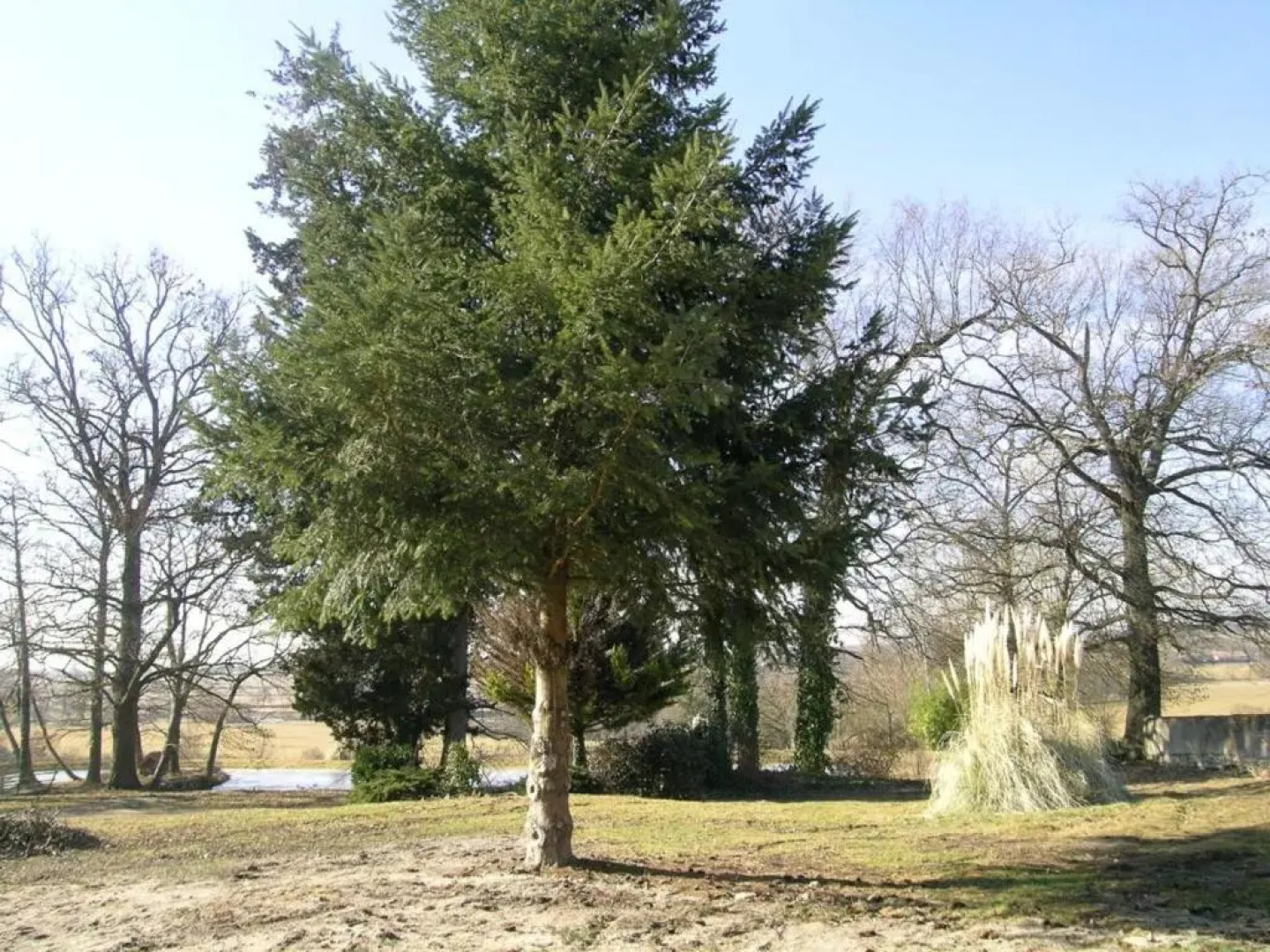 Gîte Dompierre-sur-Besbre, 3 pièces, 4 personnes - FR-1-489-174
