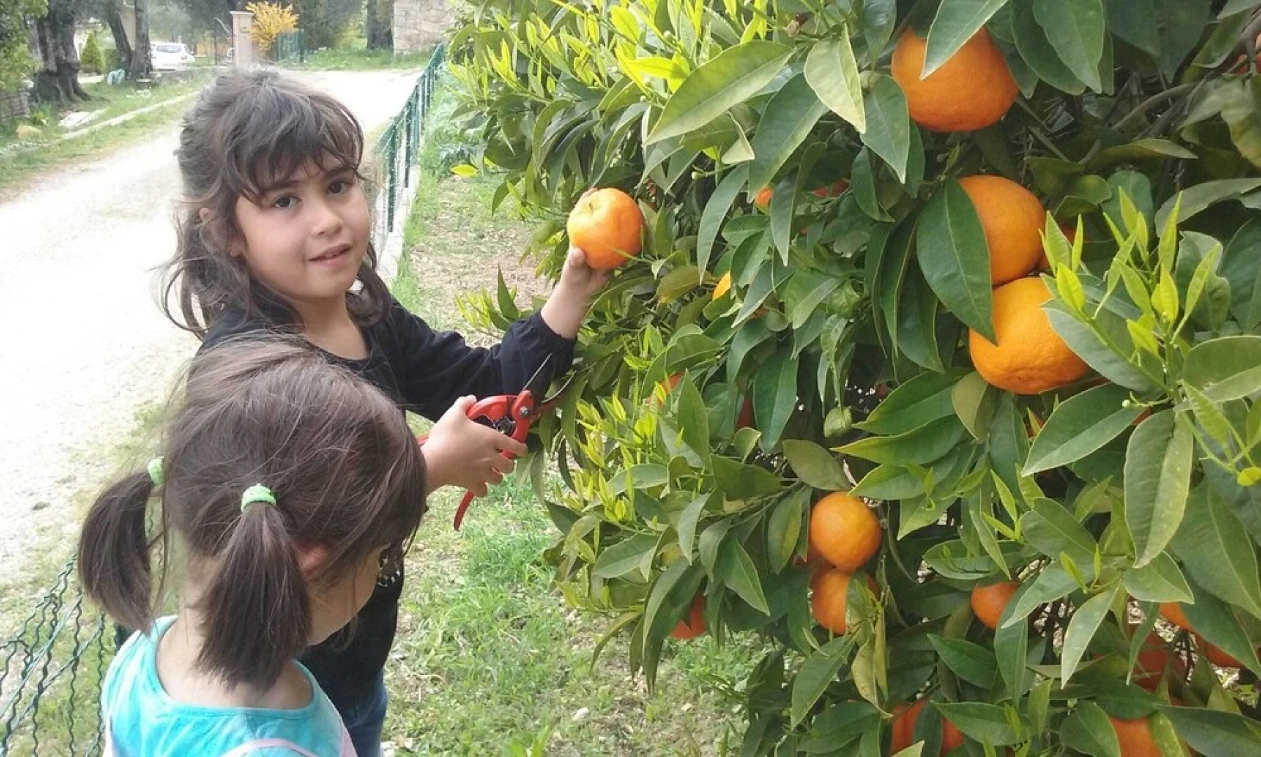 La Maison de Noélie 1er Étage